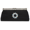 Evening Bag