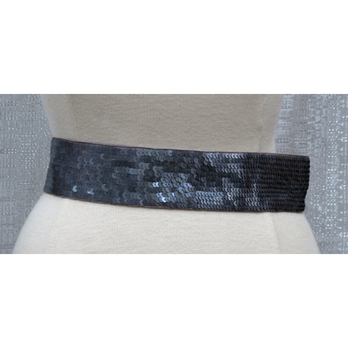 Wide Sequin Belt